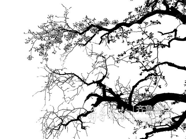 泉城影苑枯树逢春美如水墨画