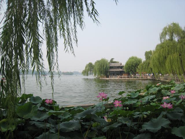 济南大明湖夏天图片